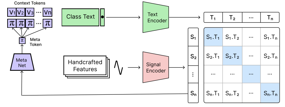 CLSP Fine-Tuning Architecture